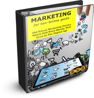 ringbinderstanding_300x315 Marketing For Non-Techno Geeks